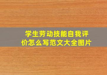 学生劳动技能自我评价怎么写范文大全图片