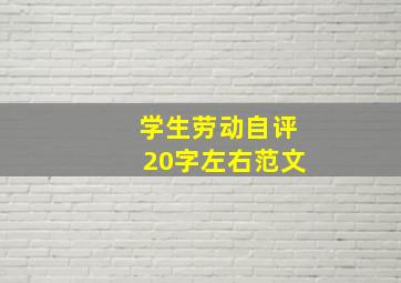 学生劳动自评20字左右范文