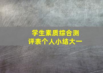 学生素质综合测评表个人小结大一