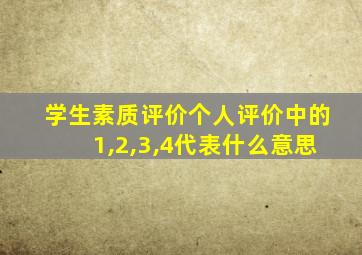 学生素质评价个人评价中的1,2,3,4代表什么意思