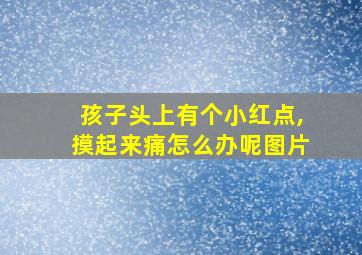 孩子头上有个小红点,摸起来痛怎么办呢图片