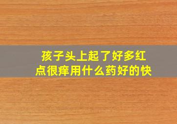 孩子头上起了好多红点很痒用什么药好的快