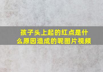 孩子头上起的红点是什么原因造成的呢图片视频