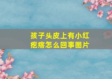 孩子头皮上有小红疙瘩怎么回事图片