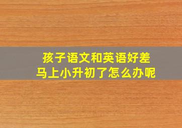 孩子语文和英语好差马上小升初了怎么办呢