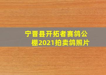 宁晋县开拓者赛鸽公棚2021拍卖鸽照片