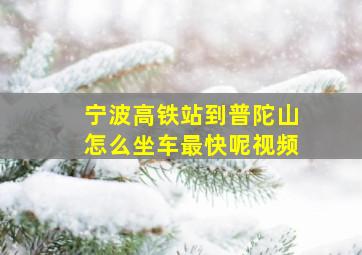 宁波高铁站到普陀山怎么坐车最快呢视频