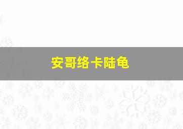 安哥络卡陆龟