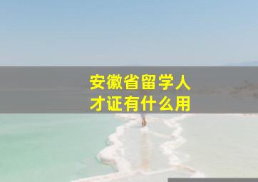 安徽省留学人才证有什么用