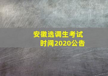 安徽选调生考试时间2020公告