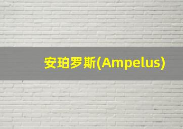 安珀罗斯(Ampelus)