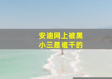 安迪网上被黑小三是谁干的