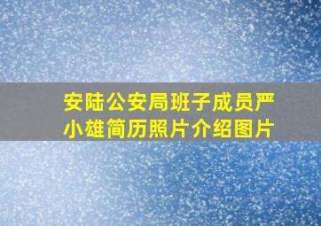 安陆公安局班子成员严小雄简历照片介绍图片