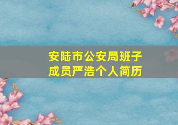 安陆市公安局班子成员严浩个人简历