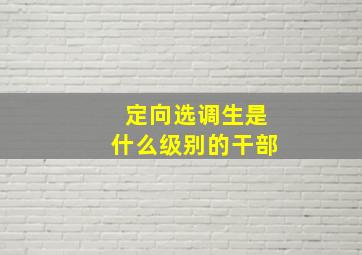 定向选调生是什么级别的干部