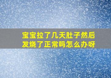 宝宝拉了几天肚子然后发烧了正常吗怎么办呀