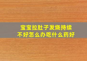 宝宝拉肚子发烧持续不好怎么办吃什么药好