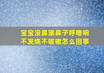 宝宝没鼻涕鼻子呼噜响不发烧不咳嗽怎么回事