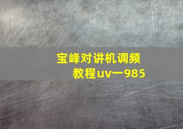 宝峰对讲机调频教程uv一985