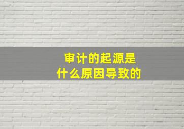 审计的起源是什么原因导致的