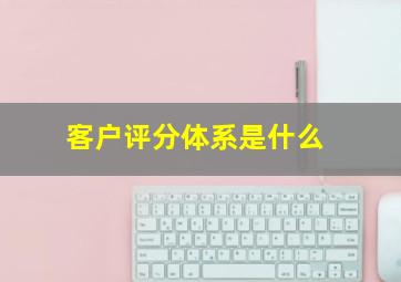 客户评分体系是什么