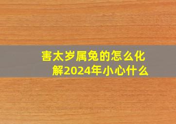 害太岁属兔的怎么化解2024年小心什么