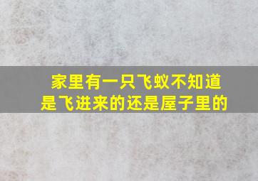 家里有一只飞蚁不知道是飞进来的还是屋子里的