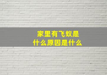 家里有飞蚁是什么原因是什么