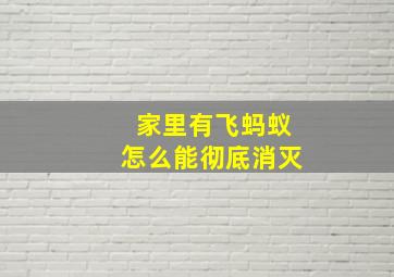 家里有飞蚂蚁怎么能彻底消灭