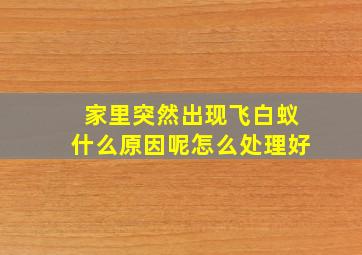 家里突然出现飞白蚁什么原因呢怎么处理好