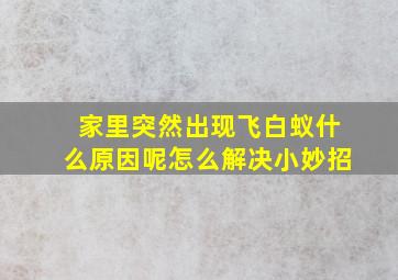 家里突然出现飞白蚁什么原因呢怎么解决小妙招