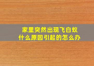 家里突然出现飞白蚁什么原因引起的怎么办