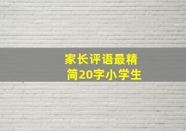 家长评语最精简20字小学生