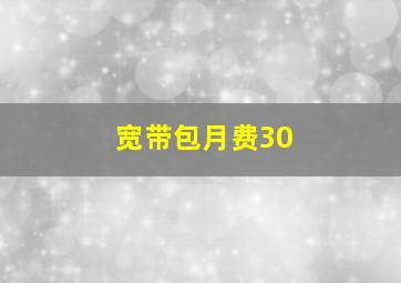 宽带包月费30