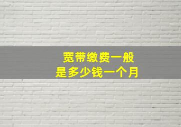 宽带缴费一般是多少钱一个月