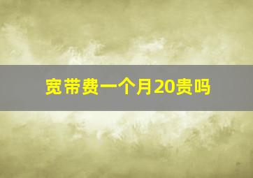 宽带费一个月20贵吗