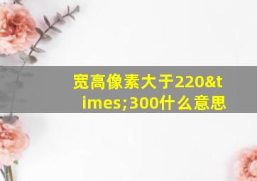 宽高像素大于220×300什么意思