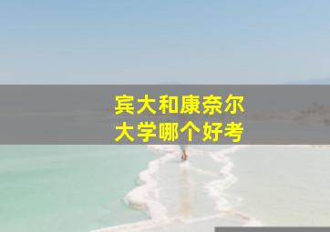 宾大和康奈尔大学哪个好考