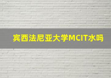 宾西法尼亚大学MCIT水吗