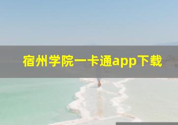 宿州学院一卡通app下载