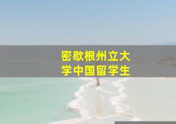 密歇根州立大学中国留学生