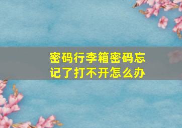 密码行李箱密码忘记了打不开怎么办