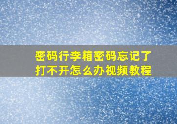 密码行李箱密码忘记了打不开怎么办视频教程