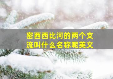 密西西比河的两个支流叫什么名称呢英文