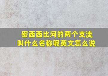 密西西比河的两个支流叫什么名称呢英文怎么说