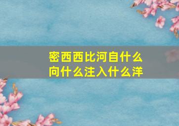 密西西比河自什么向什么注入什么洋