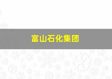 富山石化集团