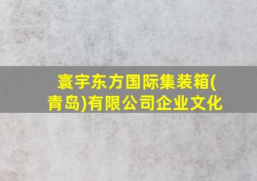 寰宇东方国际集装箱(青岛)有限公司企业文化