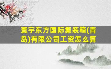 寰宇东方国际集装箱(青岛)有限公司工资怎么算