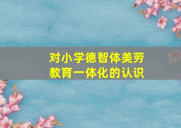 对小学德智体美劳教育一体化的认识